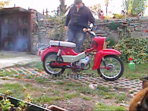Angefgtes Bild