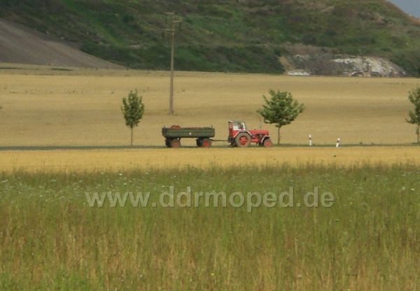 Angefgtes Bild
