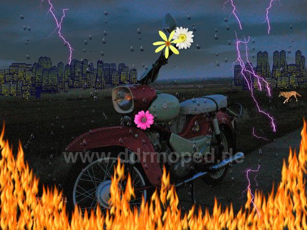 Angefgtes Bild