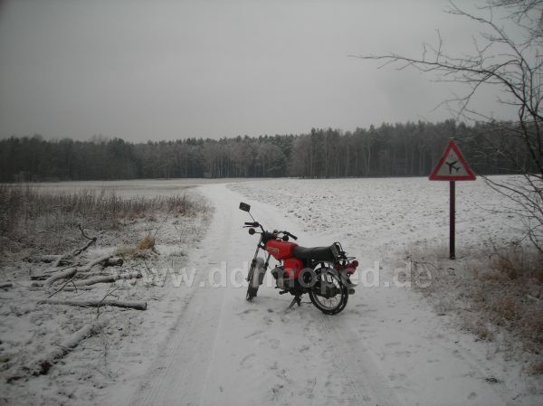 Angefgtes Bild
