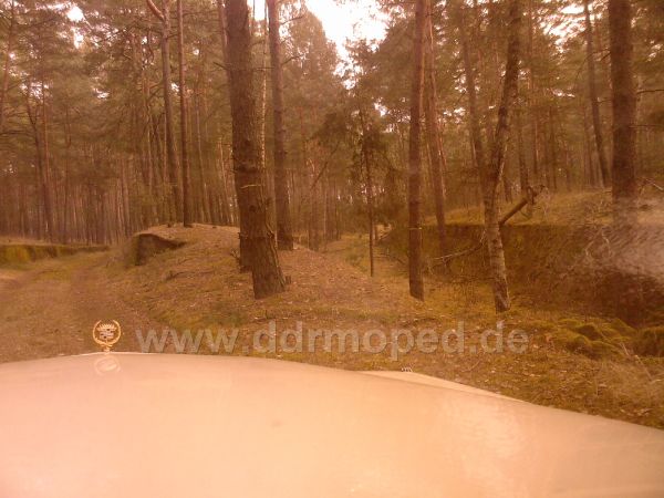 Angefügtes Bild
