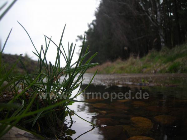 Angef�gtes Bild