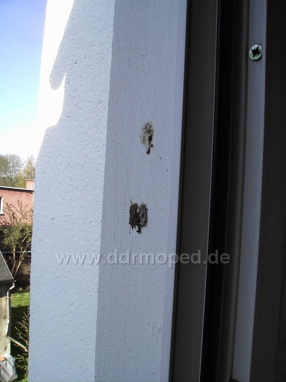 Angefügtes Bild
