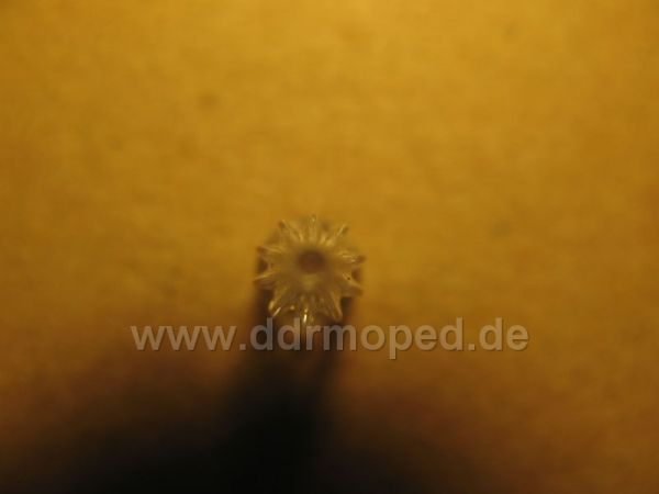 Angefgtes Bild