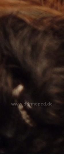 Angefgtes Bild