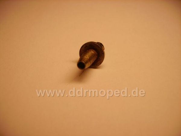 Angefgtes Bild