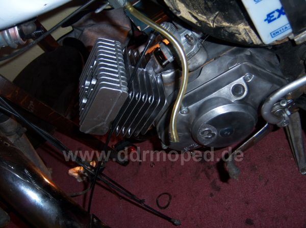 Angef�gtes Bild