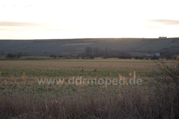 Angef�gtes Bild