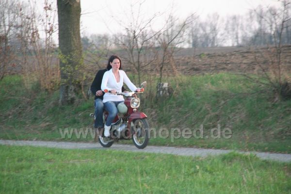 Angefgtes Bild