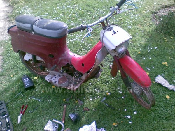 Angef�gtes Bild