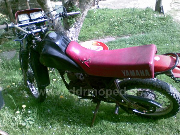 Angef�gtes Bild