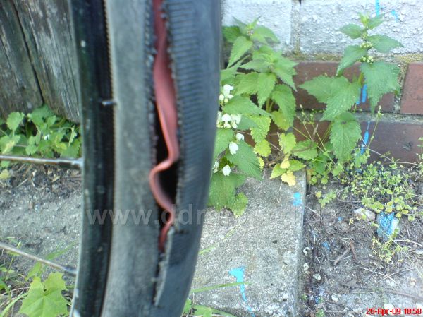 Angefgtes Bild
