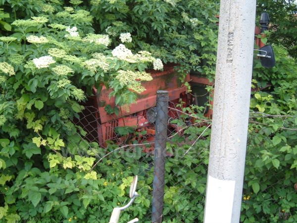 Angef�gtes Bild