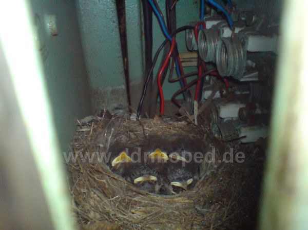 Angef�gtes Bild
