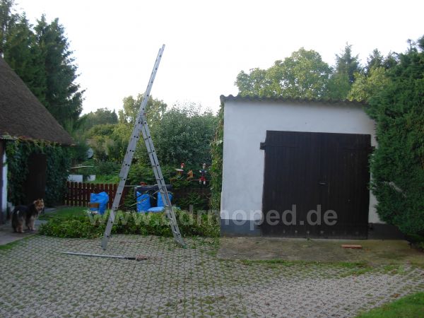 Angefgtes Bild