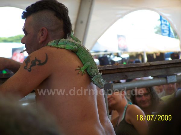 Angefgtes Bild