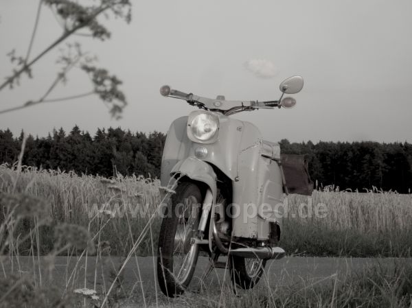 Angef�gtes Bild