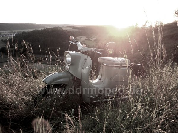 Angef�gtes Bild
