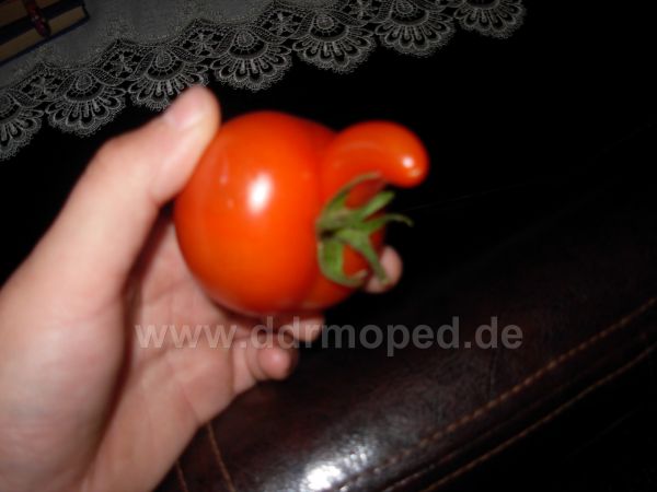 Angefgtes Bild