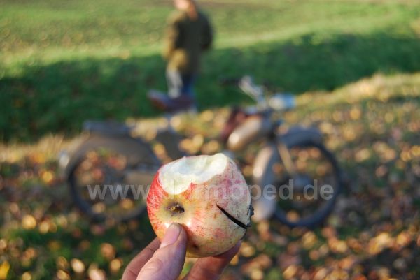 Angefgtes Bild