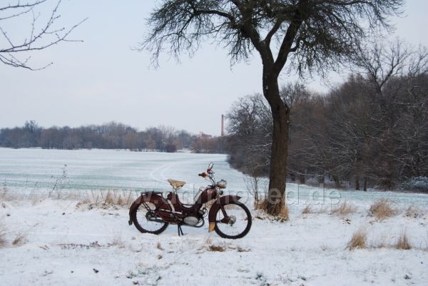 Angefügtes Bild