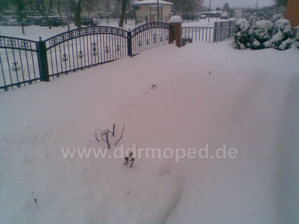 Angefgtes Bild