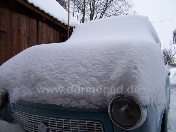 Angefgtes Bild