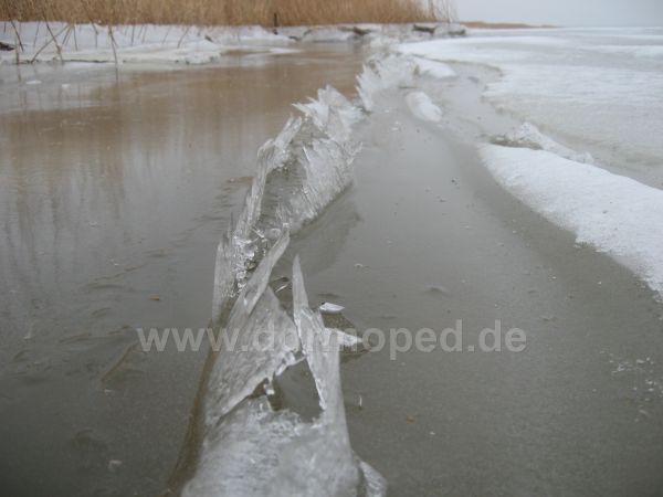 Angefgtes Bild