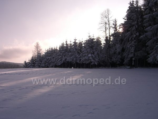 Angefügtes Bild