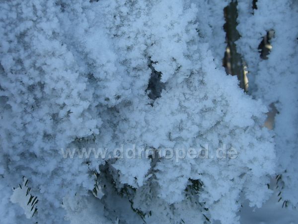 Angefügtes Bild