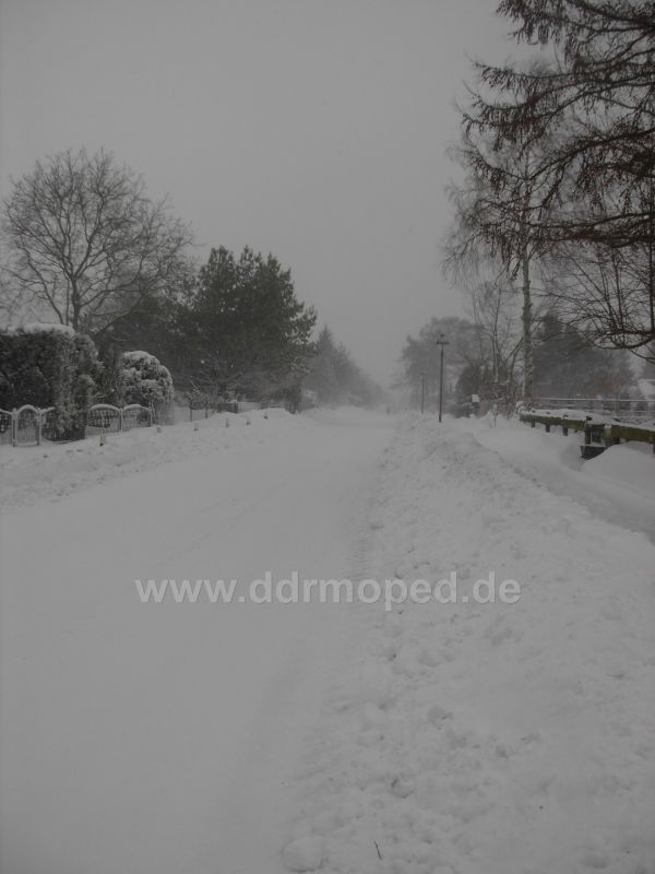 Angefgtes Bild