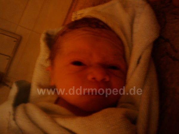 Angefgtes Bild