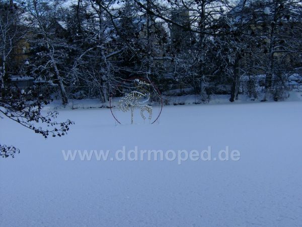 Angefgtes Bild