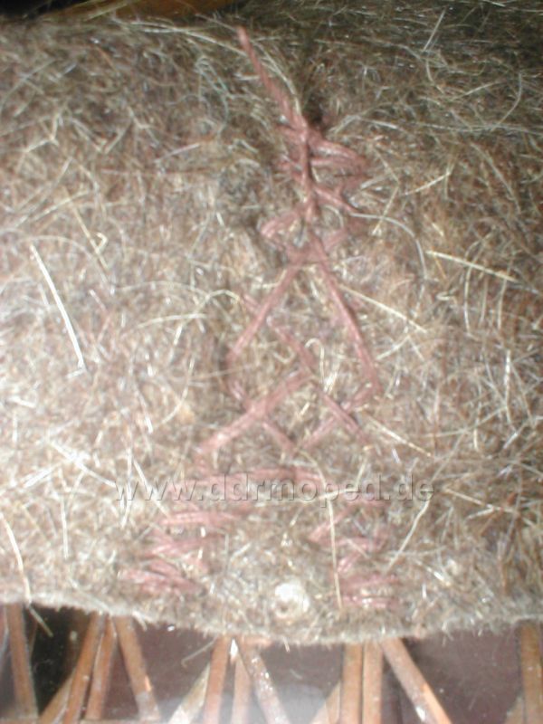 Angefügtes Bild