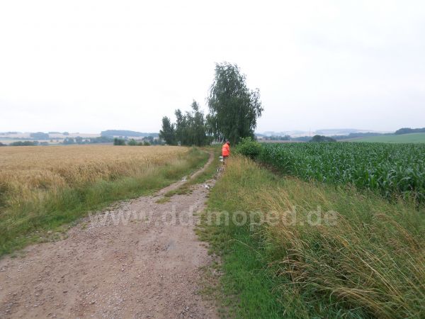 Angefgtes Bild