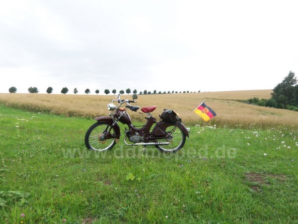 Angefgtes Bild