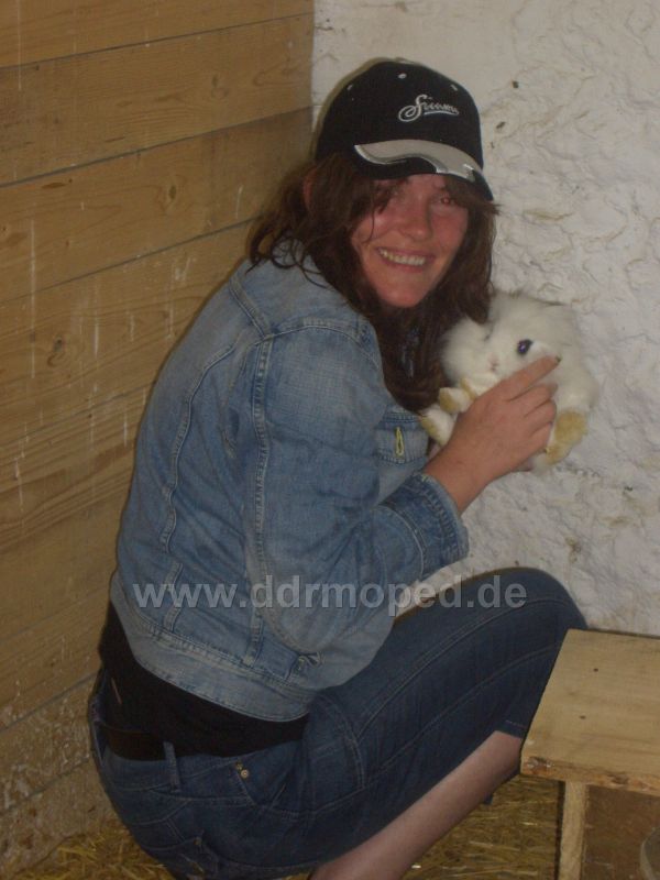 Angefgtes Bild