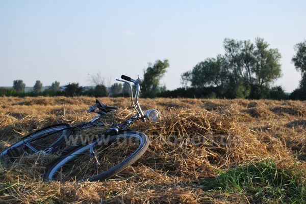 Angef�gtes Bild