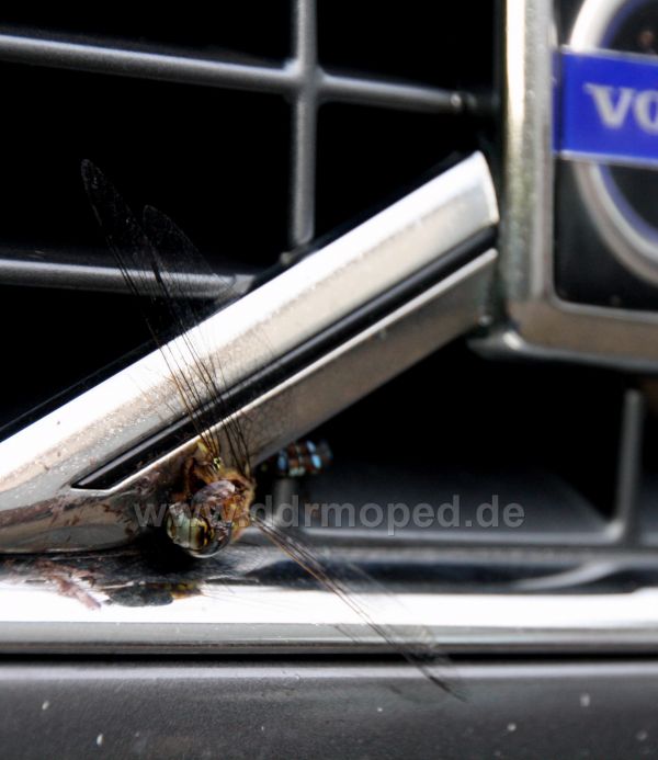 Angefgtes Bild