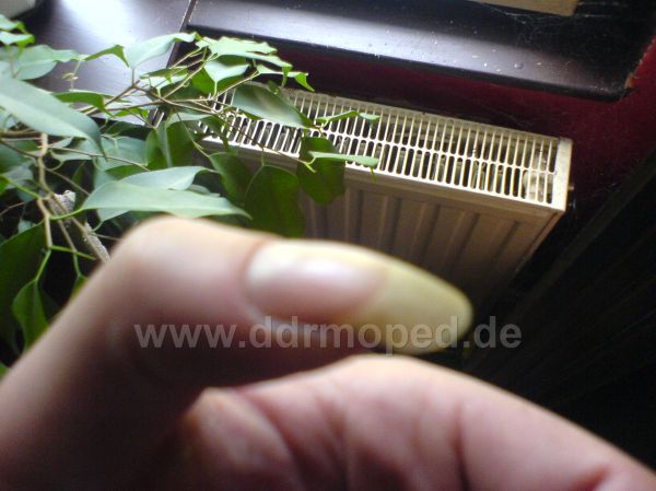 Angef�gtes Bild
