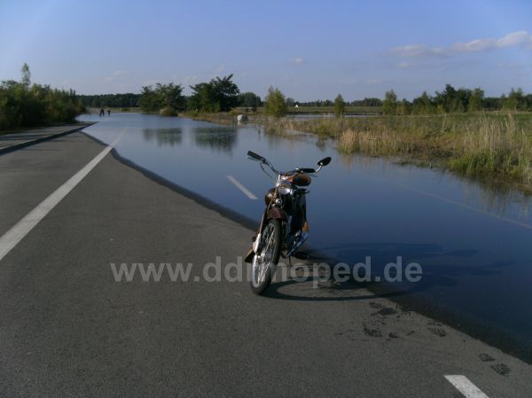 Angefgtes Bild
