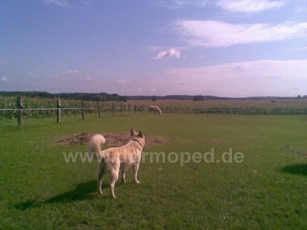 Angef�gtes Bild