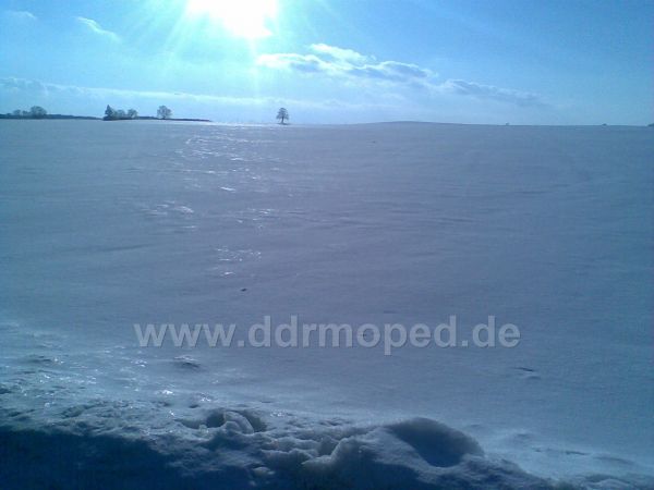 Angef�gtes Bild