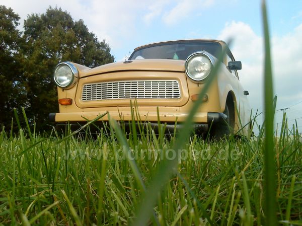 Angef�gtes Bild