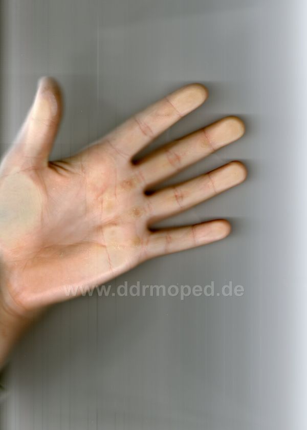 Angefgtes Bild