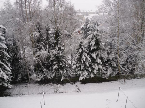 Angefgtes Bild