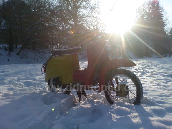 Angefgtes Bild