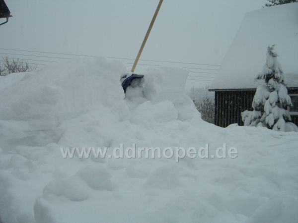 Angefügtes Bild