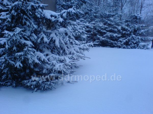 Angefgtes Bild