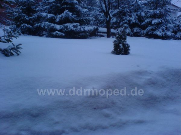 Angefgtes Bild